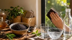 चाय पीने के बाद फेंक देते हैं बची हुई पत्ती? रुकिए... घर की सफाई से लेकर पौधों तक, ऐसे करें इस्तेमाल