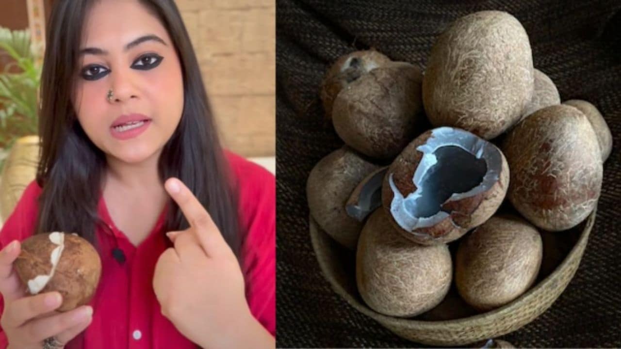 नवरात्रि की अष्टमी या नवमी पर सूखे नारियल से करें ये खास उपाय, एस्ट्रोलोजर ने बताया दूर हो जाएंगी नौकरी से जुड़ी परेशानी, मिलेगी तरक्की