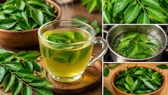 सुबह खाली पेट पानी में उबलाकर पी लें ये हरे पत्ते, फिर जो होगा वो आप सोच भी नहीं सकते