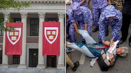 दिल्ली प्रदर्शन पर Harvard बनाम Harvard: एक ग्रुप ने पुलिस पर उठाए सवाल तो दूसरे ने कहा - यूं बदनाम न करो