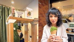 Video: Indian Creator Tries Japan's Viral 10-Layer Matcha Mont Blanc, Says 'Don't Be Fooled'