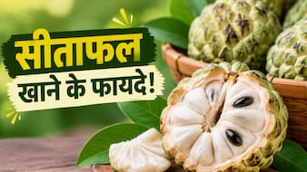 ​सर्दियों के इस फल को खाने से कौन सी बीमारी दूर होती है? जानें 9 बड़े फायदे