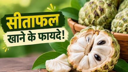 ​सर्दियों के इस फल को खाने से कौन सी बीमारी दूर होती है? जानें 9 बड़े फायदे
