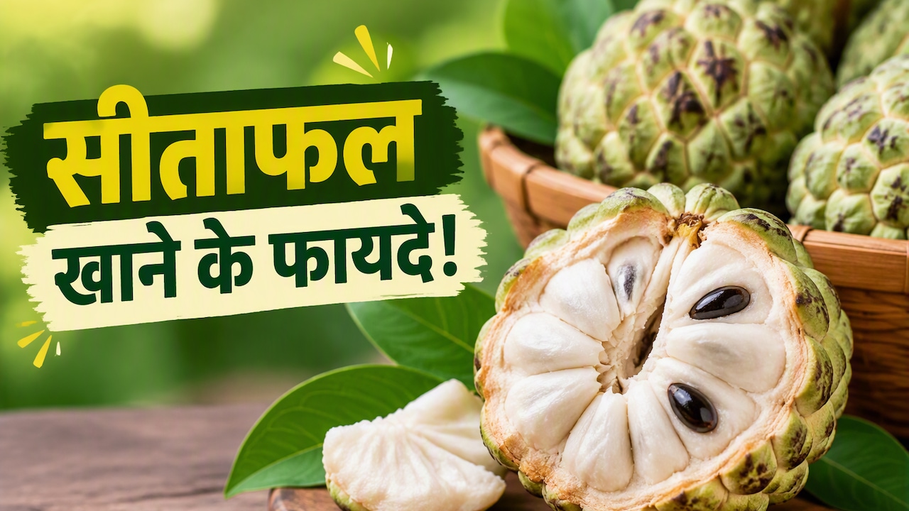 सर्दियों के इस फल को खाने से कौन सी बीमारी दूर होती है? जानें 9 बड़े फायदे
