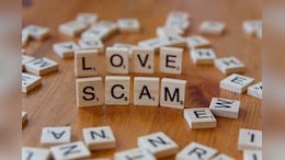 US Man Loses Rs 4.7 Crore In 'Pig Butchering' Scam Twice, Falls For Fraudsters Posing As Women