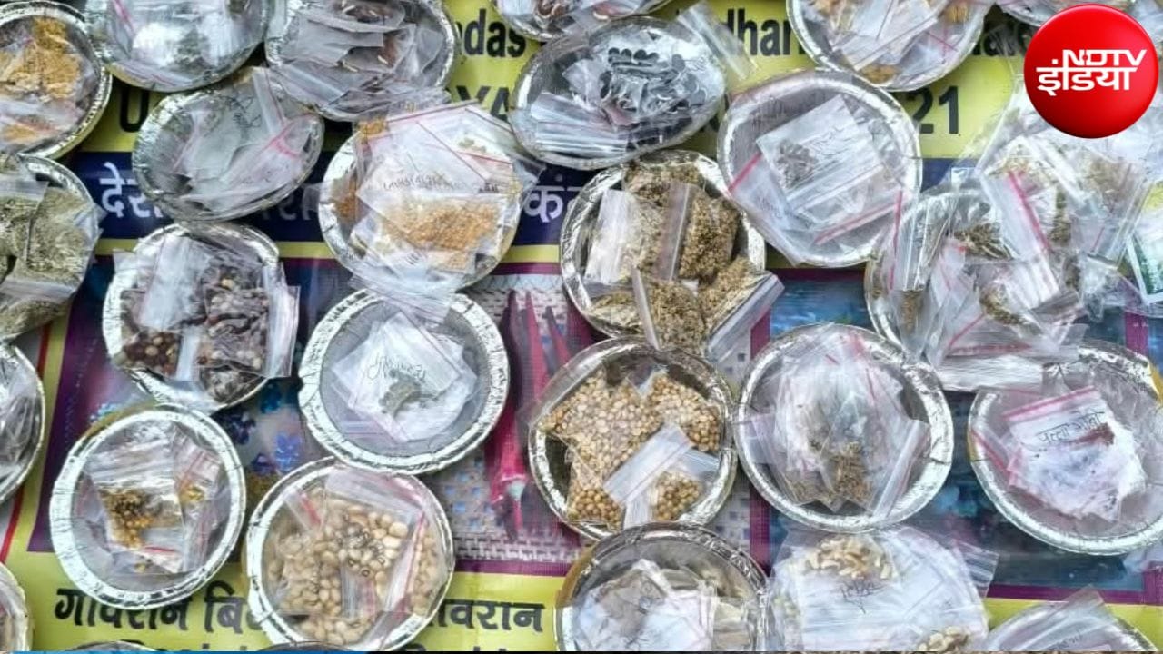 महिला किसानों को सम्मान देने के लिए भारतीय किसान संघ की ओर से दिल्ली में आयोजित सम्मान समारोह में लगा सुनीता अंबादास चाफले का स्टॉल. महिला किसानों को सम्मान देने के लिए भारतीय किसान संघ की ओर से दिल्ली में आयोजित सम्मान समारोह में लगा सुनीता अंबादास चाफले का स्टॉल.