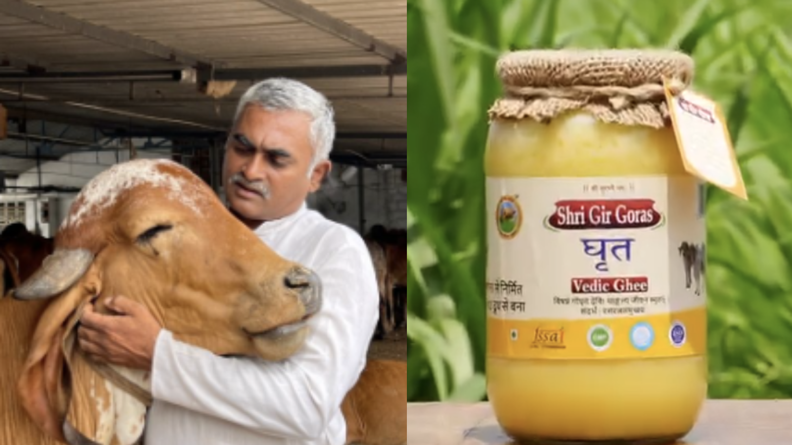 This Gujarat Man Turned Traditional Bilona Ghee Into An Rs 8 Crore Business