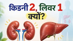 शरीर में लिवर सिर्फ एक, लेकिन किडनी दो क्यों होती हैं? डॉक्टर ने बताई दिलचस्प वजह
