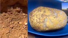 खुदाई के दौरान शख्स को मिला 1.5 करोड़ का सोने का टुकड़ा, बोला- मुझे यकीन नहीं हो रहा