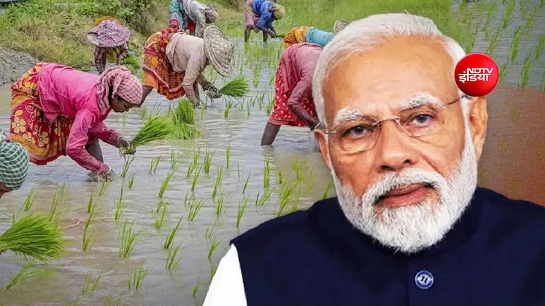 बनासकांठा से जारी होगी पीएम किसान योजना की 24वीं किस्त, 30 अक्टूबर को पीएम मोदी का होगा गुजरात दौरा