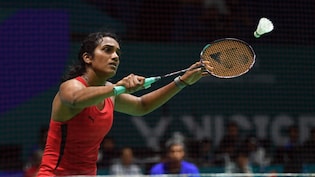 PV Sindhu Cruises Into Hylo Open Semi-Finals, To Face Compatriot Anmol Kharb