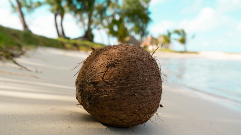 This Indian Island Has A Festival Dedicated Entirely To Coconuts