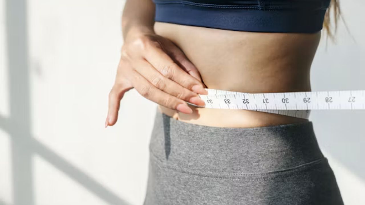 The ribs protect important organs, including the lungs, and play an important role in breathing