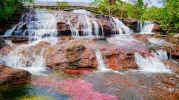 This Colombian River Is Known As The 'Liquid Rainbow' And Looks Almost Too Colourful To Be Real