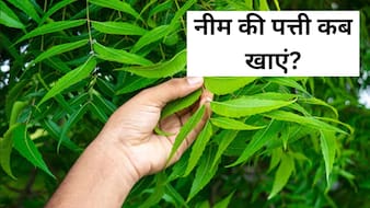 कड़वी नीम में छिपे हैं सेहत के मीठे राज, जानें नीम की पत्तियां क्यों हैं वरदान?