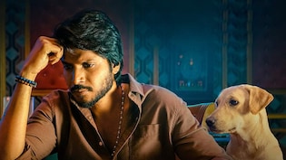 <i>Sigma</i> Box Office Collection Day 5: Vijay's Son Jason Sanjay's Directorial Feature Shows Little Growth