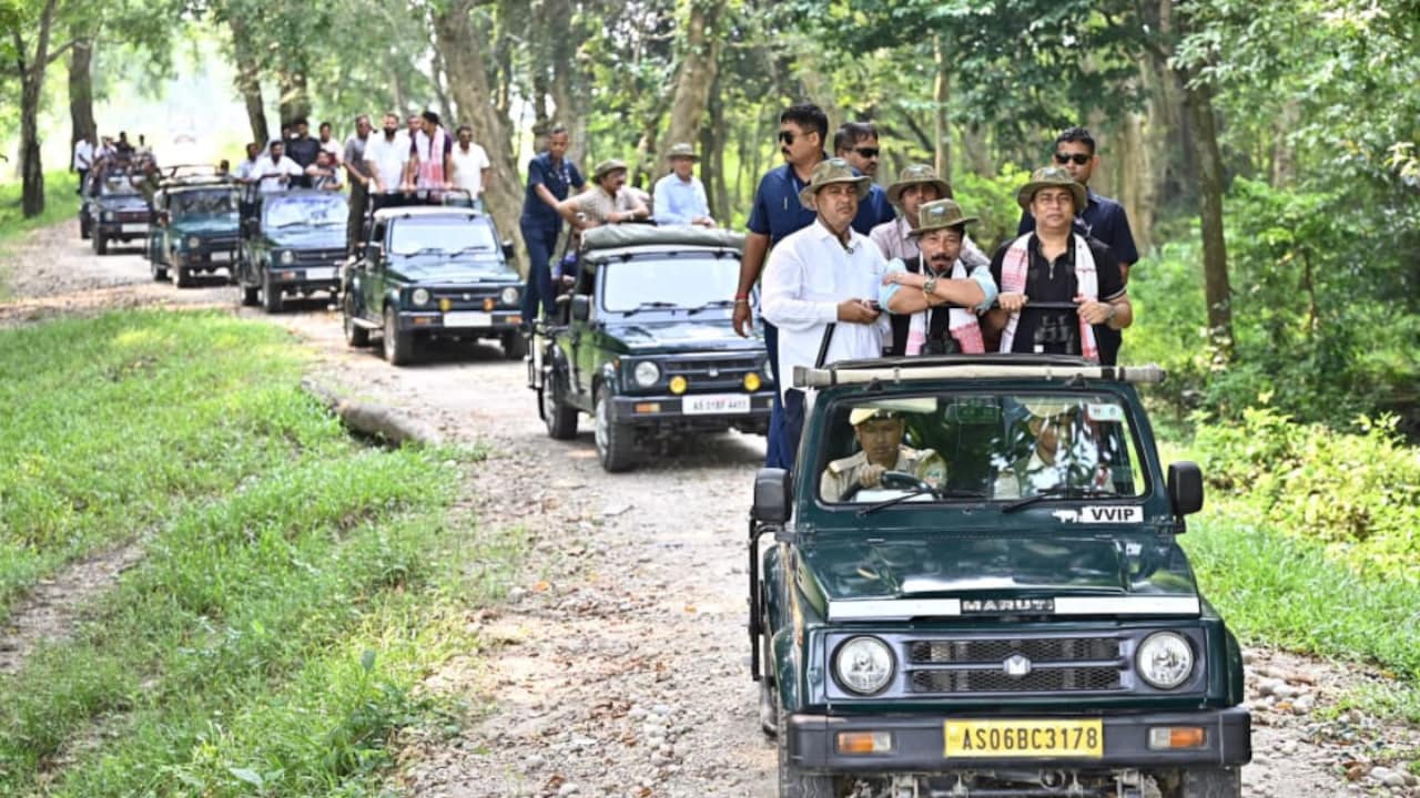 Kaziranga National Park Reopens: Jeep Safaris Begin, Elephant Rides Coming Soon