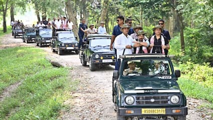 Kaziranga National Park Reopens: Jeep Safaris Begin, Elephant Rides To Follow