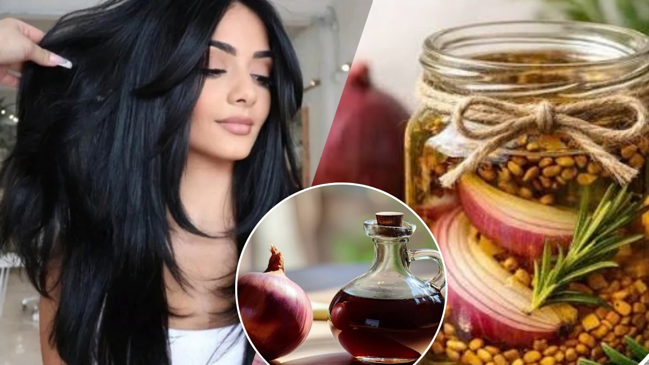 Hair Loss: बाल झड़ने से परेशान हैं? मेथी में मिलाएं ये 2 चीजें, घर पर तैयार करें आसान DIY हेयर पैक