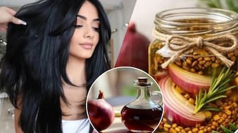 Hair Loss: बाल झड़ने से परेशान हैं? मेथी में मिलाएं ये 2 चीजें, घर पर तैयार करें आसान DIY हेयर पैक