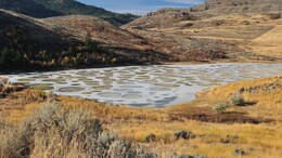 This Canadian Lake Looks Like A Giant Polka-Dot Painting