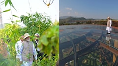 PM Modi Visits Ekta Nagar Rainforest Near Statue Of Unity, Shows Glass Skywalk Experience