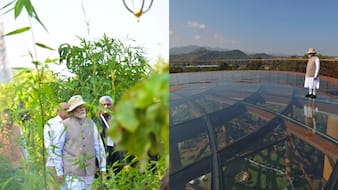 PM Modi Visits Ekta Nagar Rainforest, Shows Glass Skywalk Views