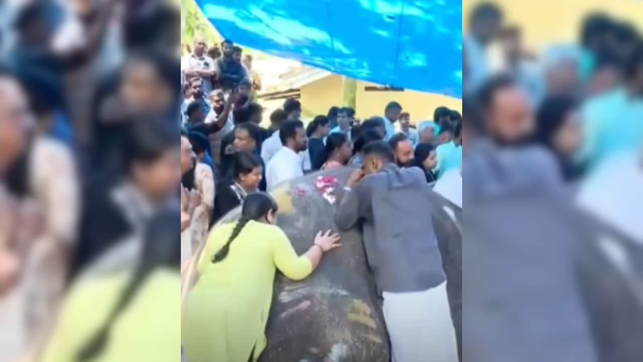 Kerala Bids Emotional Farewell To Tusker Pallattu Brahmadathan