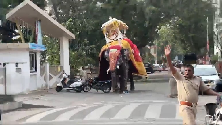 Shivamogga Dasara Turns Chaotic As Elephant Runs Amok, 650-Kg Silver Ambari Falls