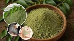 Curry Patta Powder For Hair: नीम और कड़ी पत्ते से घर पर बनाएं होममेड पाउटर, बालों और स्किन की ऐसे करें देखभाल