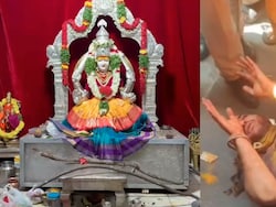 Hyderabad Man Vandalises Temple, Attacks Priest, Strikes Idol With Sticks