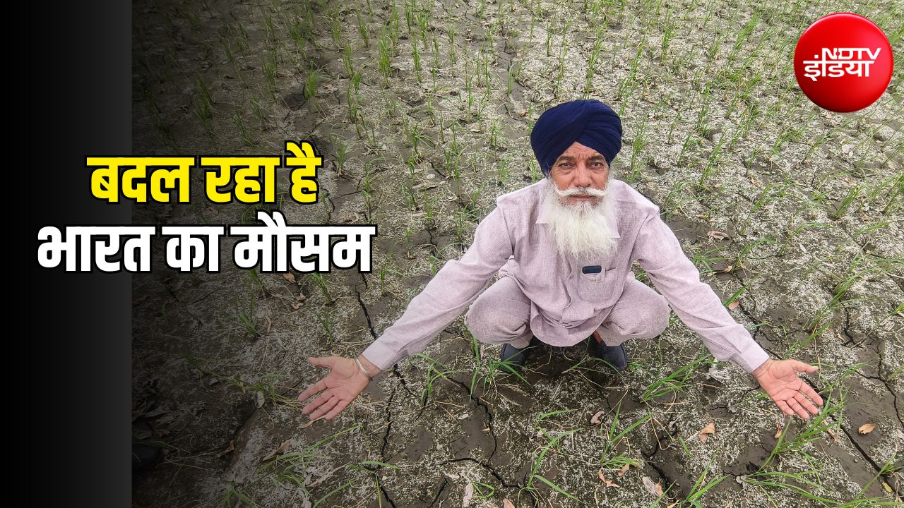 पंजाब से UP-बिहार तक सूखा, दक्षिण भारत में बढ़ रही बारिश, 70 साल की IMD स्टडी में चौंकाने वाला खुलासा