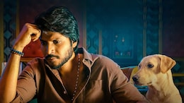 <i>Sigma</i> Box Office Collection Day 4: Jason Sanjay's Directorial Debut Faces Monday Heat, Mints Rs 6 Crore In India