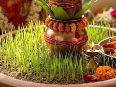 Shardiya Navratri 2026: नवरात्रि में जौ बो रहे हैं तो ये एक चीज मिट्टी के पात्र में डाल दें, एक या दो दिन में उगेंगे हरे-भरे जौ