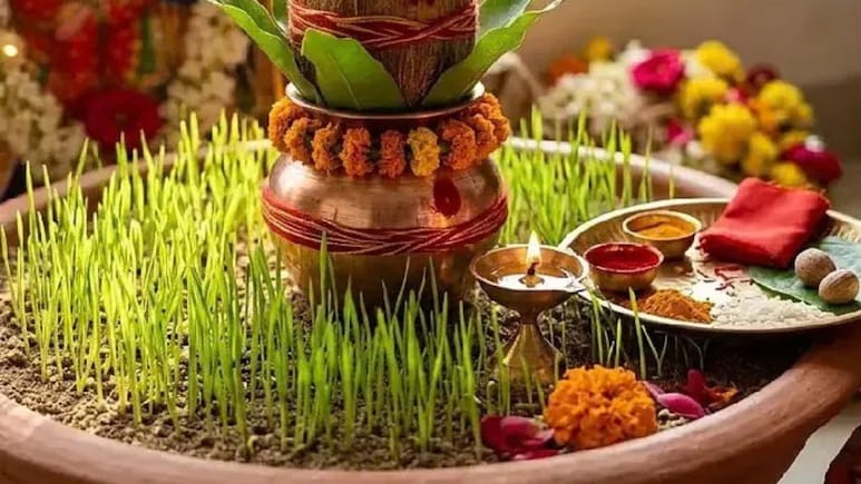 Shardiya Navratri 2026: नवरात्रि में जौ बो रहे हैं तो ये एक चीज मिट्टी के पात्र में डाल दें, एक या दो दिन में उगेंगे हरे-भरे जौ