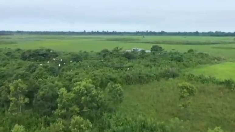 In Assam's Dhemaji, Grazing Land Being Developed As Village Forest