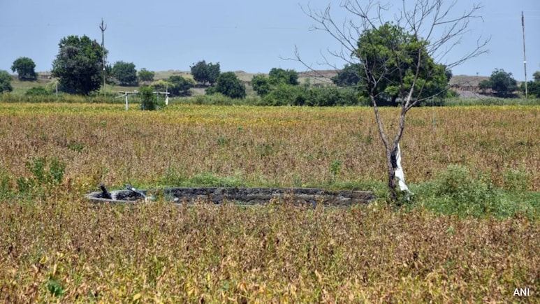 Drought-Hit Maharashtra Farmers To Get Rs 5,000 Aid Before Diwali