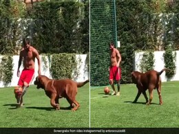 Lionel Messi ने कुत्ते के साथ खेला फुटबॉल, नहीं पकड़ सका बॉल तो दिखाया ऐसे गुस्सा, Viral Video Lionel Messi ने कुत्ते के साथ खेला फुटबॉल, नहीं पकड़ सका बॉल तो दिखाया ऐसे गुस्सा, Viral Video