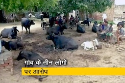 पलवल में संदिग्ध मवेशी चोर की पीट पीटकर हत्या पलवल में संदिग्ध मवेशी चोर की पीट पीटकर हत्या