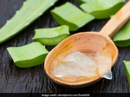 ऐलोवेरा में दही मिलाकर बालों में इस तरह से लगाले 4 दिन में बालों का झड़ना रुकेगा,बाल होंगे मजबूत,काले,लंबे ऐलोवेरा में दही मिलाकर बालों में इस तरह से लगाले 4 दिन में बालों का झड़ना रुकेगा,बाल होंगे मजबूत,काले,लंबे