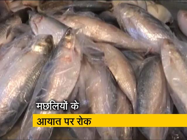 मेघालय में राज्य के बाहर से मछलियों के आयात पर रोक