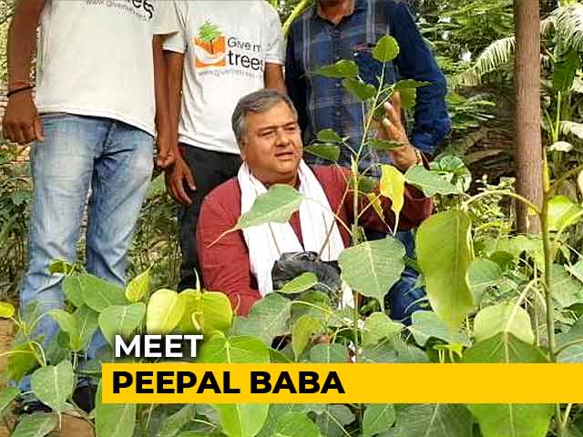 Meet Peepal Baba, The Man Who Has Planted Over 20 Million Trees