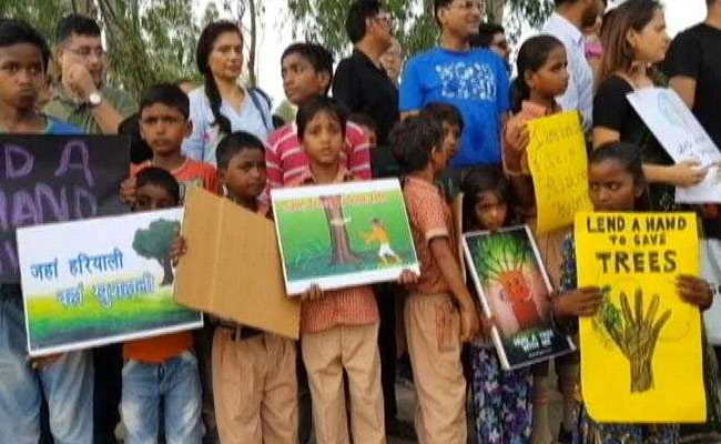 Amid Protest By Noida Residents, 3,000 Trees Cut For Rs 50 Crore Project