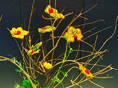 Squash Leaves Fritters with Chilli Raindrops