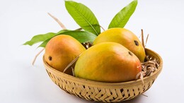 Myth Vs Fact: Can Mangoes Cause Acne? Expert Reveals