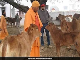 शहरों के नाम बदलने के बाद अब सीएम योगी का नया आदेश: कांजी हाउस का नाम 'गो संरक्षण केंद्र' शहरों के नाम बदलने के बाद अब सीएम योगी का नया आदेश: कांजी हाउस का नाम 'गो संरक्षण केंद्र'