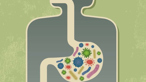 Gut Microbes Respond Differently To Different Foods With Same Nutritional Profile: Study