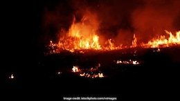 14 Firefighters Injured In Jodhpur Chemical Factory Blast