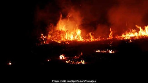 "5 Seconds Saved My Life": Brother Of Man Killed In Delhi Factory Fire