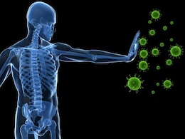 New Antibody Treatment Boosts Immune Response Against Tumor: Study New Antibody Treatment Boosts Immune Response Against Tumor: Study
